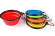 Collapsible Pet Feeding Bowl Set | Groupon Goods