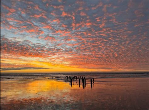 Monterey Vacation Rentals | Homes and More | Airbnb