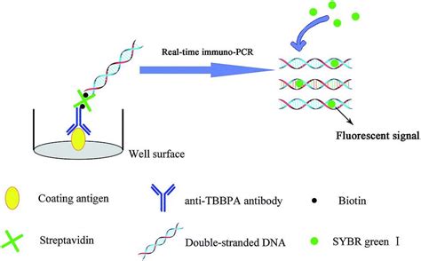 Image result for PCR Process in Project Development