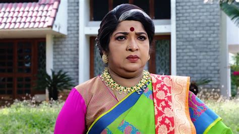 Watch Bangaru Panjaram S1 Episode 264 on JioHotstar