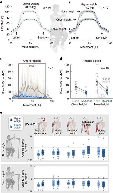 Image result for Muscle Contraction Functional Task
