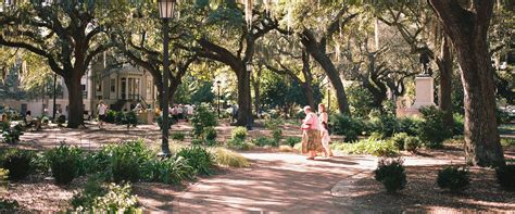 Savannah Tourism: All You Need to Know Before You Go (2024)