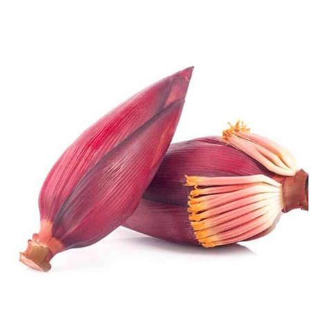 Organic Banana Flower | Banana Blossom for Unique Recipes