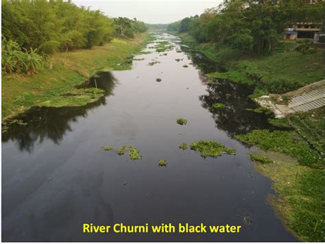 Fisher-people lead Save Mathabhanga & Churni River Campaign in W Bengal ...