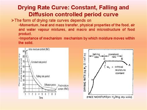 Image result for Rate of Drying Process