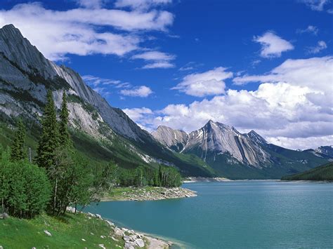 梦见高山流水是什么意思(高山流水是什么意思一种什么服务)_捷讯网