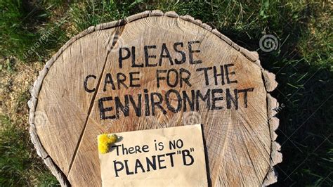 Petition · Residents Protest Against Cutting Of Trees For Flyover ...