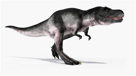 3D T Rex Running Animated Rigged for Maya model | 3D Molier International
