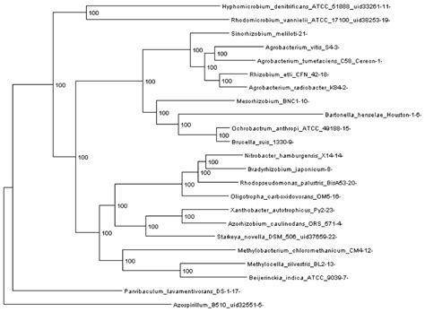 Genes | Special Issue : Feature Paper 2012