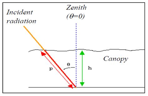 Modeling Solar Radiation in the Forest Using Remote Sensing Data: A ...