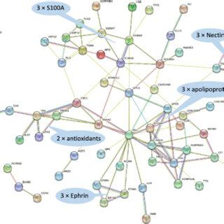 STRING Database Tutorial 的图像结果