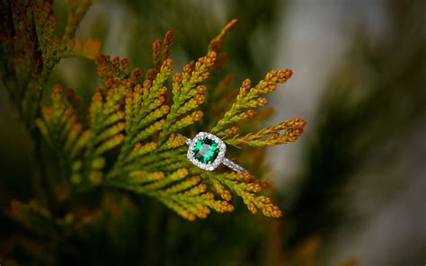 Download wallpaper 3840x2400 ring, stone, plant 4k ultra hd 16:10 hd ...