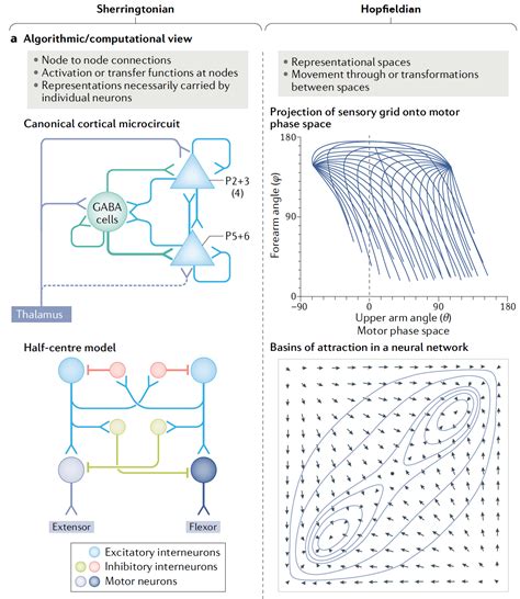 How many neurons does it take to change a lightbulb?