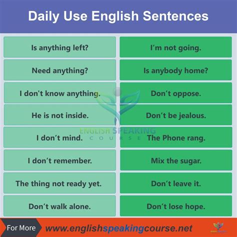 Common Phrases Used in Daily English Conversations 14 English Speaking ...