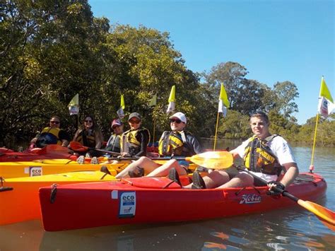 REDLANDS KAYAK TOURS (Victoria Point) - What to Know Before You Go