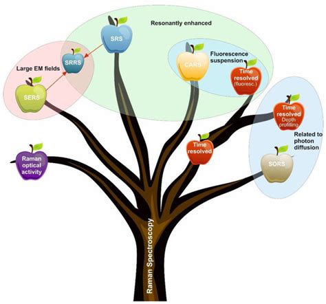 Raman Spectroscopy and Its Modifications Applied to Biological and ...