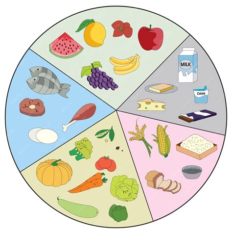 Premium Vector | Flow chart showing different sources of food