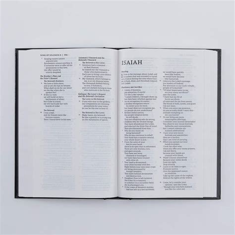 NET Bible, Pew and Worship, Hardcover, Black, Comfort Print: Holy Bibl ...