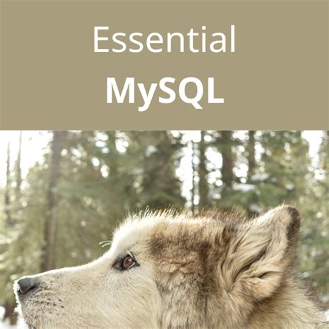 Getting Started with MySQL 的图像结果