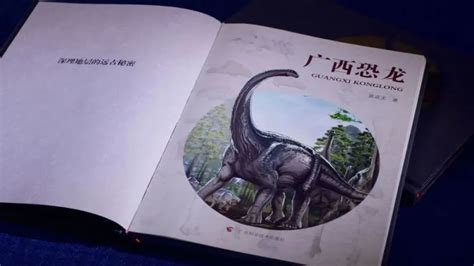 广西东兴发现侏罗纪时期恐龙化石 - 化石网