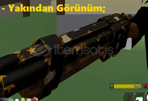 DH Star Script 的图像结果