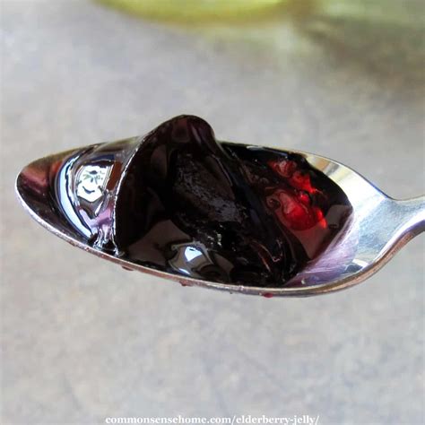 Elderberry Jelly Recipes - Low Sugar and Sure-Jell Options