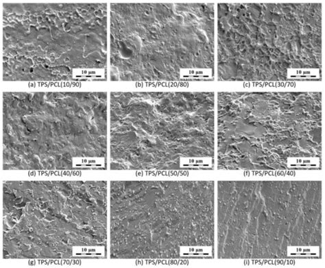 Biodegradable Thermoplastic Starch/Polycaprolactone Blends with Co ...