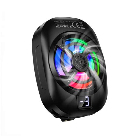 Home - Wasir Express