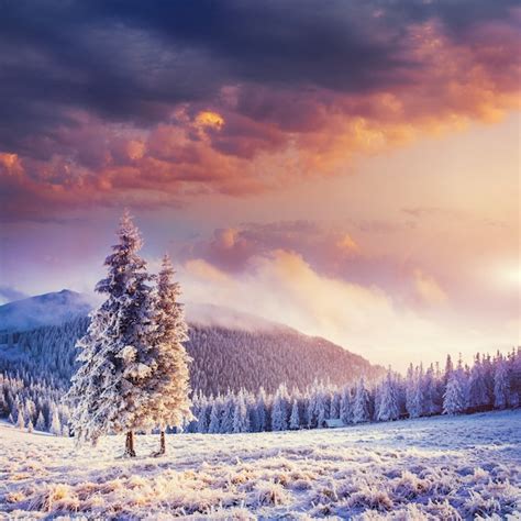 Images de Paysage Hiver – Téléchargement gratuit sur Freepik