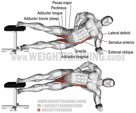 Side plank hip adduction. A compound exercise. Target muscles: Adductor ...