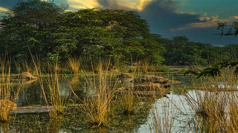 Animal Movie 2023: 5 Stunning Shooting & Filming Locations To Explore!