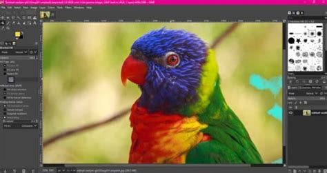 Image result for How to Repaint Using GIMP