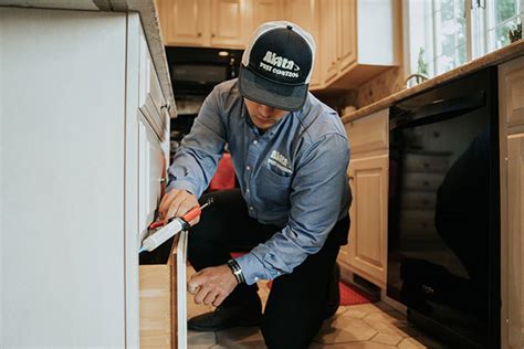 Pest Control Lancaster 的图像结果