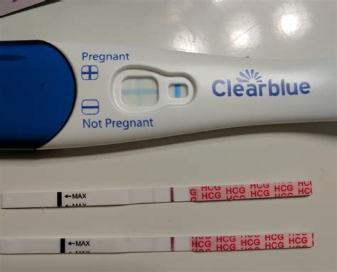 6 Dpo Bfp : 6 DPO: Signs, Symptoms & What to Expect - TFJCFZ