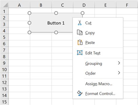 Image result for Excel Form Button