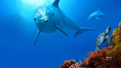 Disneynature: Dolphin Reef full movie. Kids Wildlife film di Disney+.