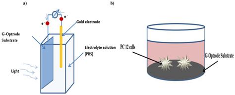 G-Optrode Bio-Interfaces for Non-Invasive Optical Cell Stimulation ...