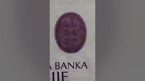 塞尔维亚货币，看看塞尔维亚的钱💰 - YouTube