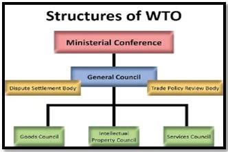 Features of WTO 的图像结果