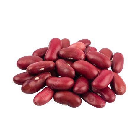 Kidney Bean Clipart