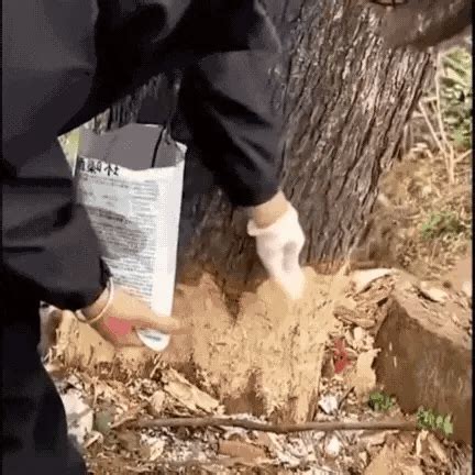 Cyclosinone Herbicide Granules – Pre-Emergence Weed Control for Crops