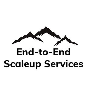 Scale-up Agency for MSMEs & Startups | Fractional CMO