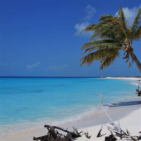 SIRENA BEACH (2026) All You Need to Know BEFORE You Go (with Photos ...