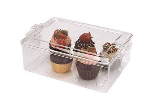 Clear Square Plastic Containers - 10-5/8″ x 7-5/8″ x 3-3/4″, 195C