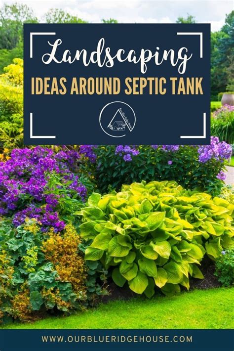 landscaping ideas around deck