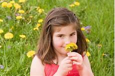 bambino sente l odore di il bambino un fiore sentente l odore fotografia stock bambino sente l odore di il bambino un fiore sentente l odore fotografia stock