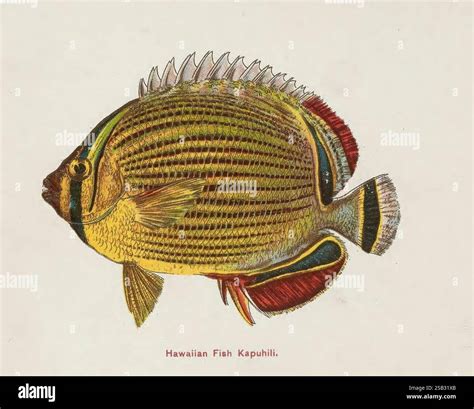 Mori takako hi-res stock photography and images - Alamy