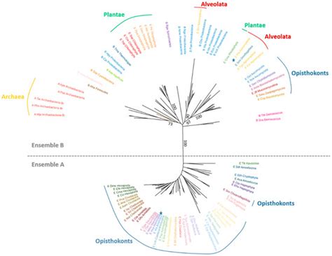 Tertiary and Quaternary Structure Organization in GMP Synthetases ...