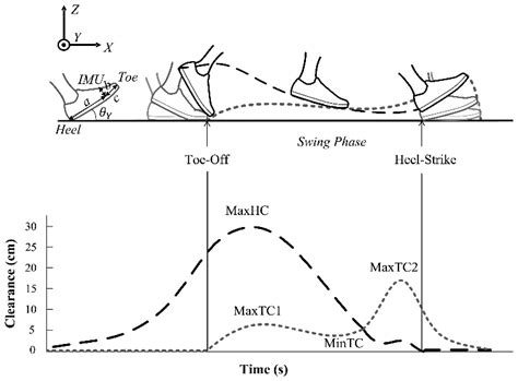 Gait and Foot Clearance Parameters Obtained Using Shoe-Worn Inertial ...