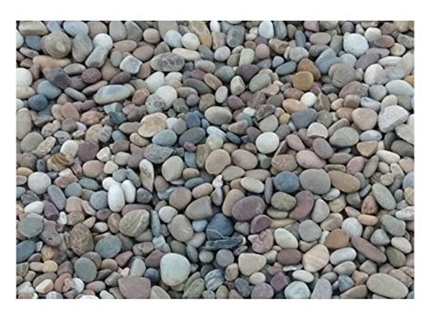Planters River Stones, 15 Kilograms (Off White) : Amazon.in: Garden ...